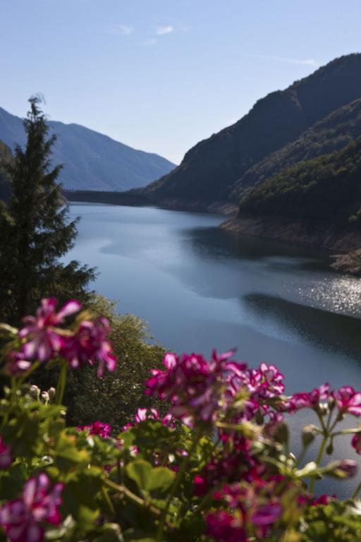 Hotel Al Lago Vogorno Exterior photo